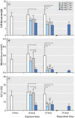 Gonadal Histopathological Disorders in Mytilus galloprovincialis Male Exposed to Tars Used in Mussel Farms